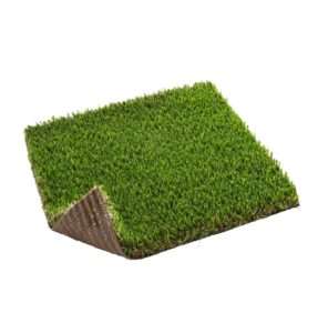 relva_20mm-removebg-preview